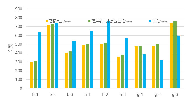 圖4190614.jpg